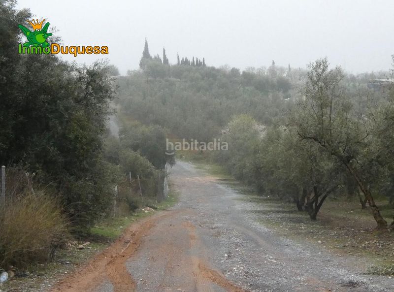 Foto 4f2ce32b-95e4-4637-bbe1-f2d8a2297180. Masia a Peligros