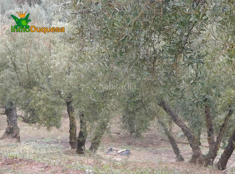 Foto 505a0161-b202-435d-8ce0-d83e1755ff6e. Masia a Peligros