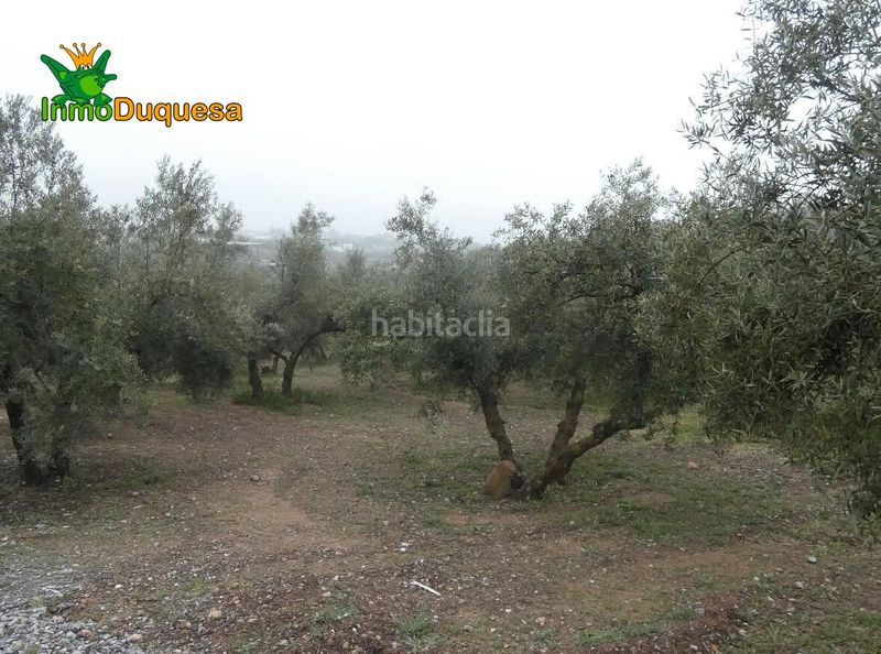 Foto 62bd9c0f-3e91-4312-9bbb-dcbb54e18c13. Masia a Peligros