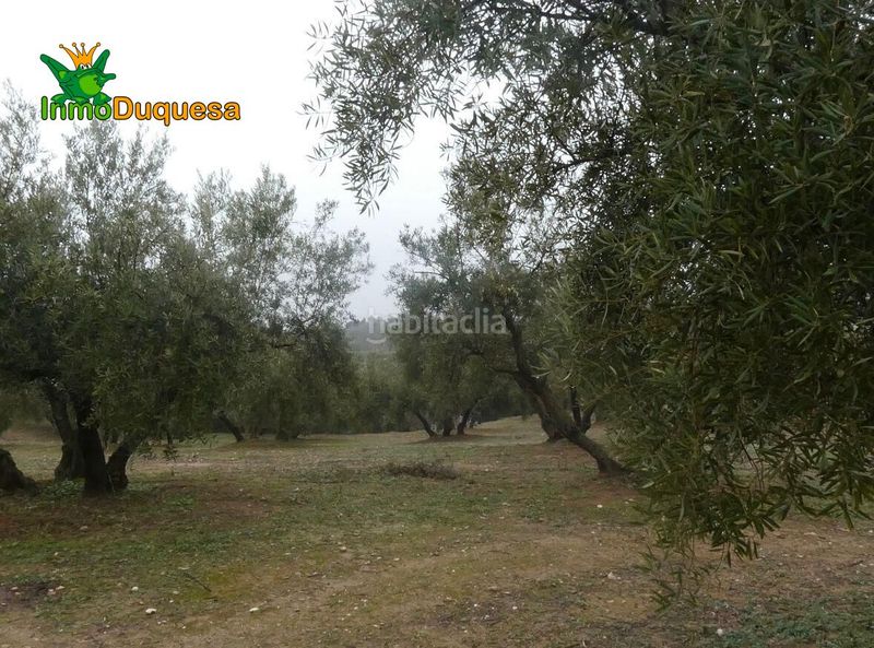 Foto 6cac32f1-5a1a-49c8-ae1c-7ca77d32d45e. Masia a Peligros