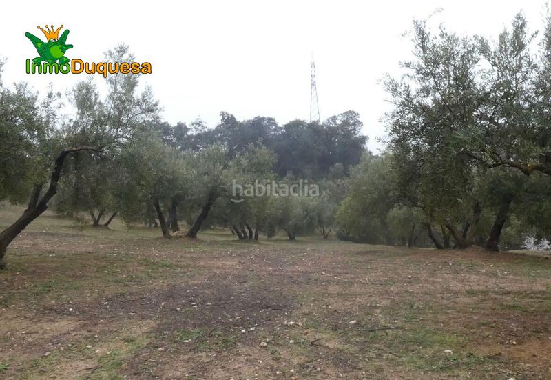 Foto 8ff641c1-18fe-4dc1-a275-a87c60546dfc. Masia a Peligros