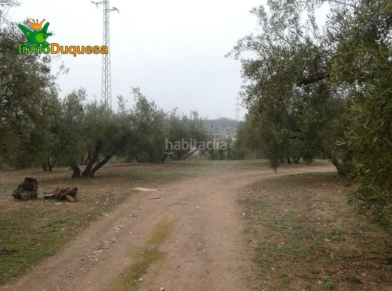 Foto a193c219-ccbb-43da-83c7-0c3830f09d7e. Masia a Peligros