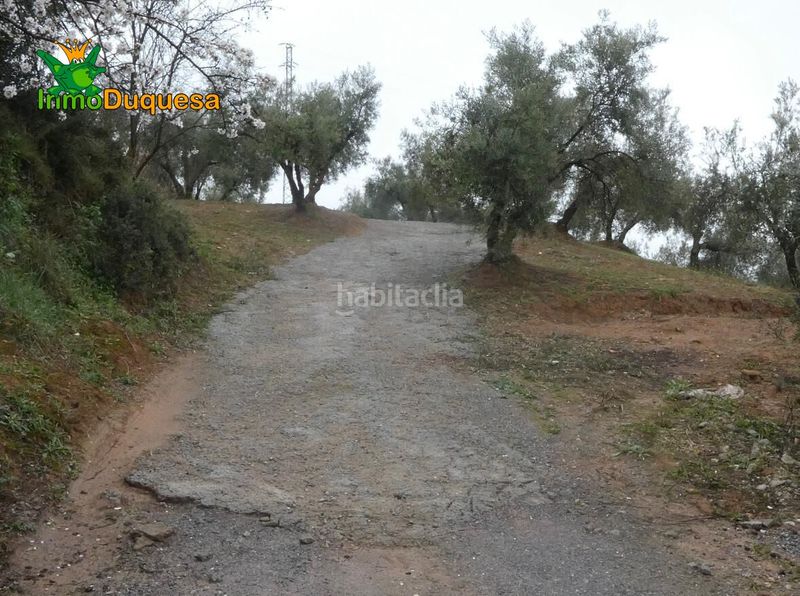 Foto c51d4a1a-b0ff-4fa1-8fdc-f8df1763ed44. Masia a Peligros