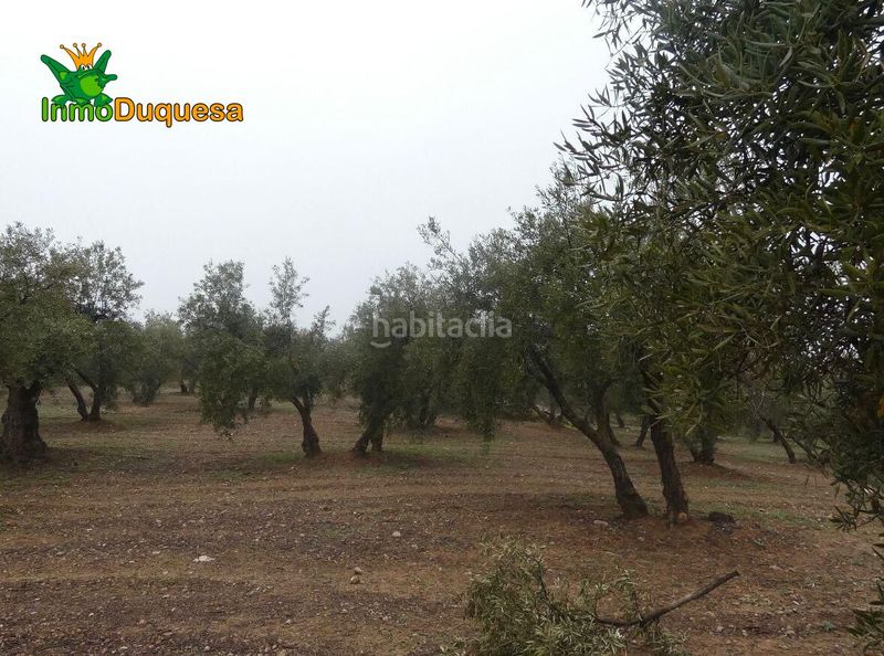 Foto d179f531-c0ee-4a00-aba8-306f4f4d2dc8. Masia a Peligros