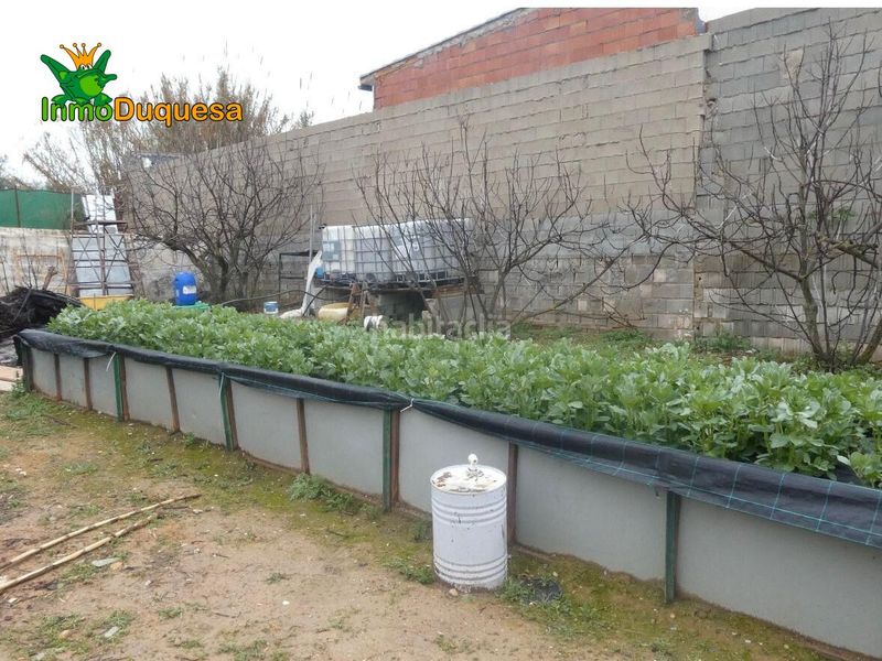 Foto f5641a8d-80aa-49f7-8cf3-f05f2001380f. Masia a Peligros