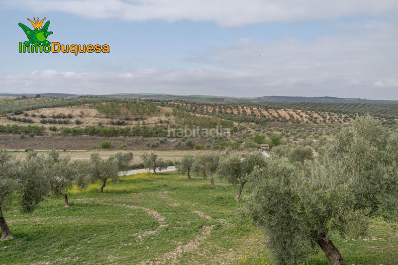 Foto 0d451590-50a3-43fa-9796-239bede94a05. Xalet amb calefacció aparcament piscina a Cúllar Vega