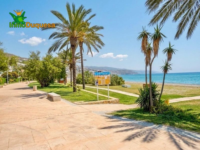 Foto 4ff32f8a-9dfc-4c31-95cf-6f5ff02e56b1. Pis a Castell de Ferro