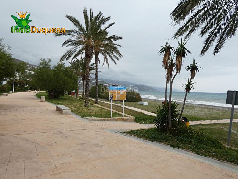 Foto fab58b5c-4b7d-4f45-a97e-30146e978fa0. Pis a Castell de Ferro