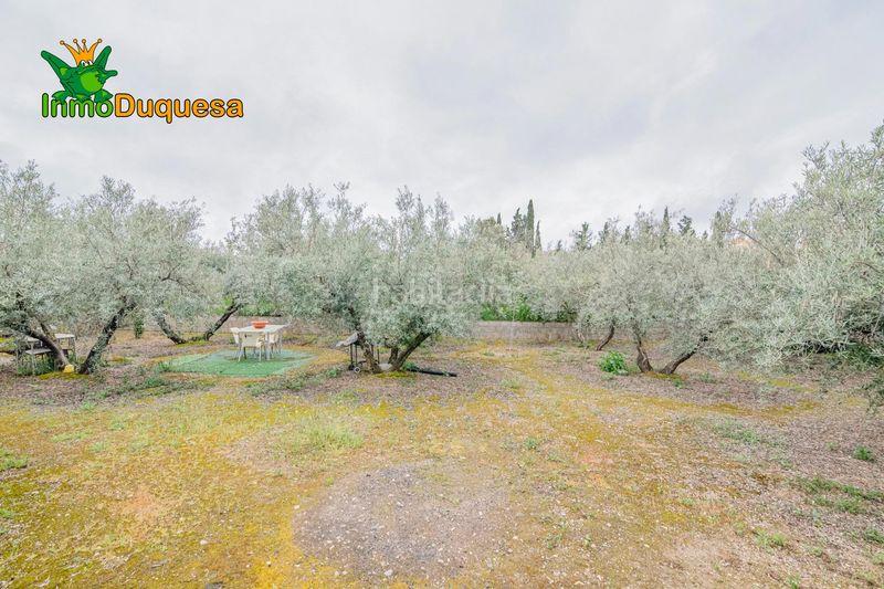 Foto be0db925-368a-4467-9d26-676233bec04d. Masia amb aparcament a Ogíjares