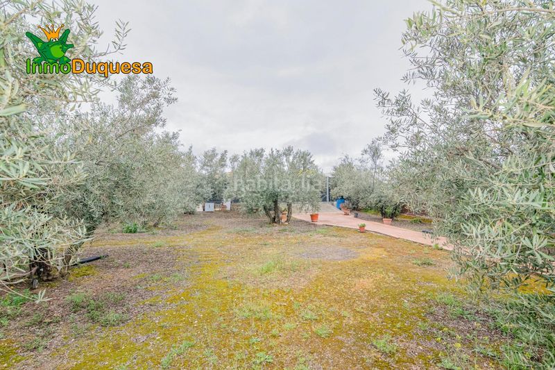 Foto fcf6a355-574c-4075-b312-a2bdb6a1f7fa. Masia amb aparcament a Ogíjares