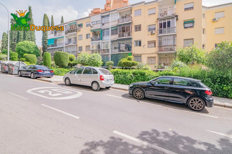Foto 856f9f56-5507-44e3-b221-fa7ff6fae506. Pis a Cartuja Granada