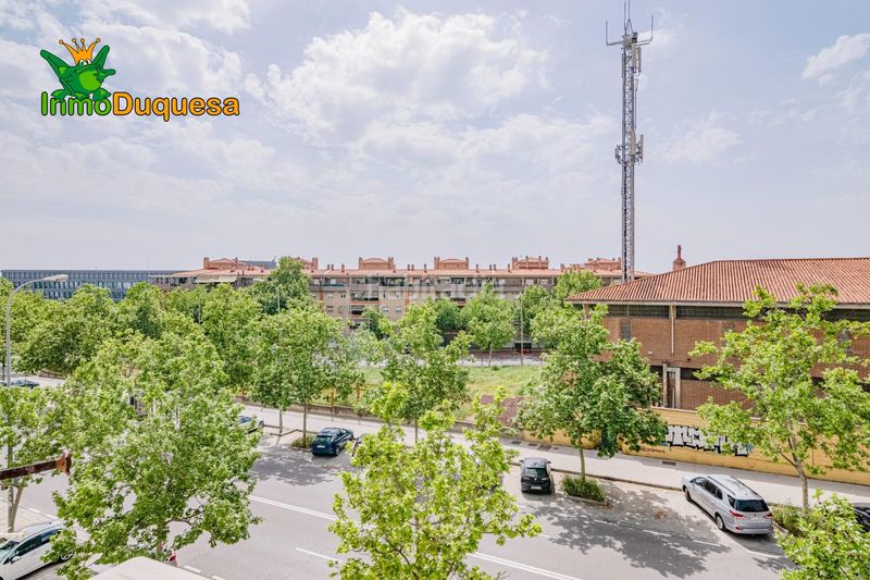 Foto d414f3a3-cee4-4ee7-8bf4-b087176dc22a. Pis a Cartuja Granada