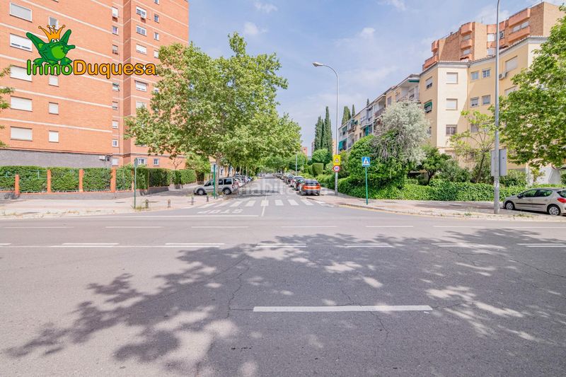 Foto e2aab6bc-5af8-453d-8a15-1385e4072fbd. Pis a Cartuja Granada