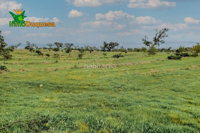 Foto 43b33f39-8bbb-4b89-b013-cfcce895902a. Masia amb aparcament a Paymogo