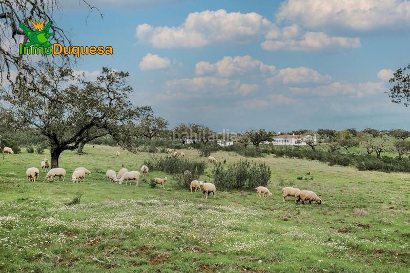 Foto b6ae7c5e-0a45-4c92-98c8-d84db5d08eb9. Masia amb aparcament a Paymogo