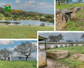 Bauernhof in Paymogo. Finca de recreo en huelva junto a portugal.