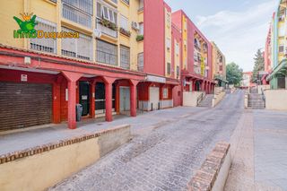 Pis a Casería de Montijo