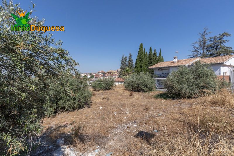 Foto 849ec10c-f3f2-444d-910f-5ea92575b7bd. Residential plot in Alfacar