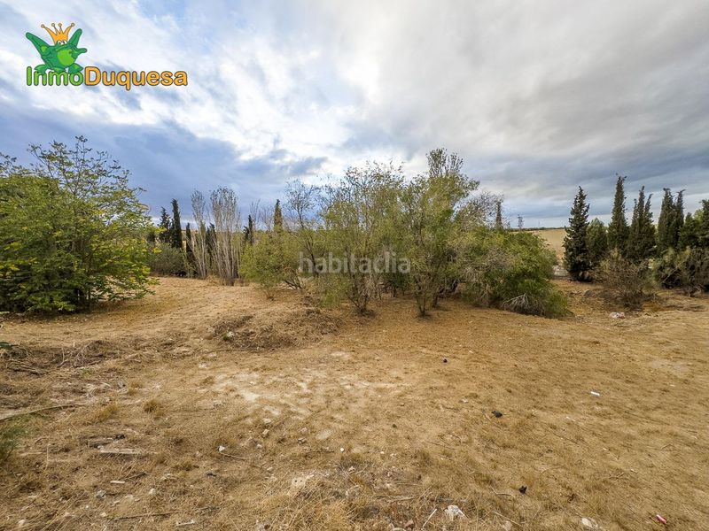 Foto c1667df0-ca91-4668-a32c-cf7ad322119e. Terreno residenziale in calle la piconera sn in Aljomahima - Ermita Gabias (Las)
