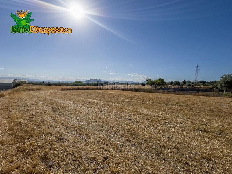 Foto c609d850-508f-4926-8164-346e691716c9. Terreny residencial a calle luis buñuel 84 a Jun