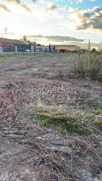 Foto 33657463-267a-4a29-ba05-9ac7dccf95ce. Finca rústica a polígono número 18 28 a Sueca Sueca