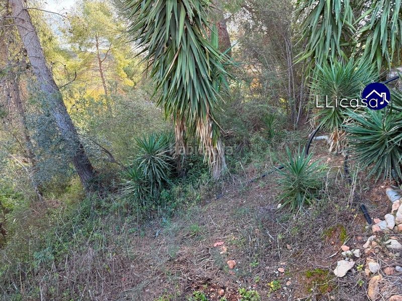 Foto 72d31c21-e1d2-4475-861c-9fef808bfabb. Xalet amb aparcament piscina a Pedralba