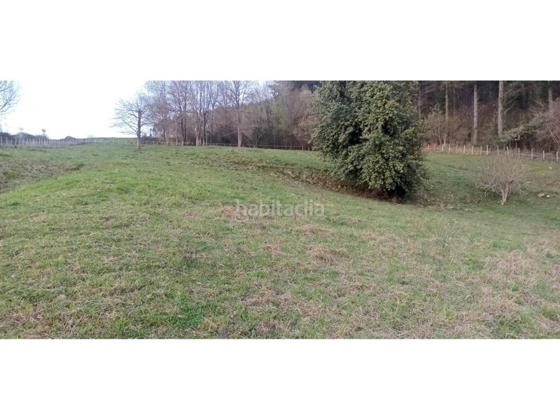 Foto 701a3a39-51e0-4a55-a3d7-b59616119b6b. Casa aparellada a Amorebieta - Etxano