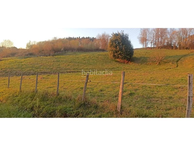 Foto e7ff58ee-e2db-4fa3-8937-110afa77bba2. Casa aparellada a Amorebieta - Etxano