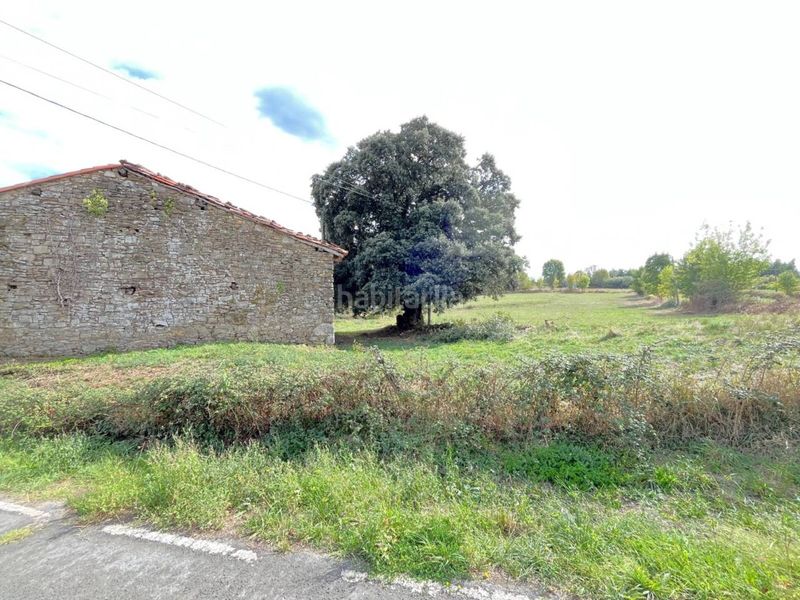 Foto 1f6f7c39-3739-424f-b748-4f2a3a538581. Casale in Morga