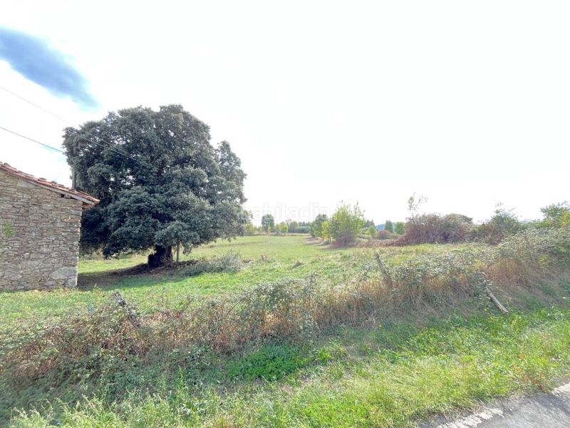 Foto bbd3ebc8-2259-4d05-aec6-4ab38fad444b. Casale in Morga