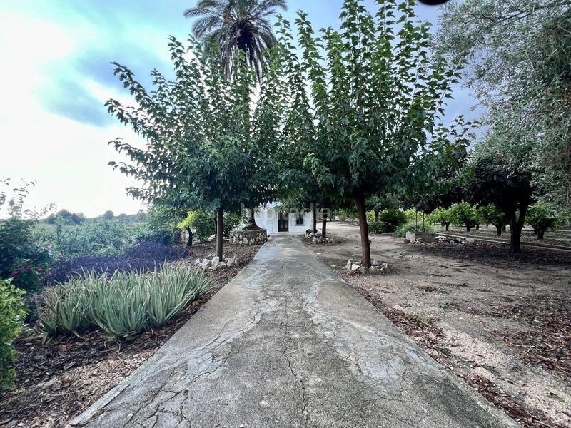 Foto c4641bae-f07b-4305-83d6-fbfec0ba8997. Casa amb calefacció aparcament piscina a Pego