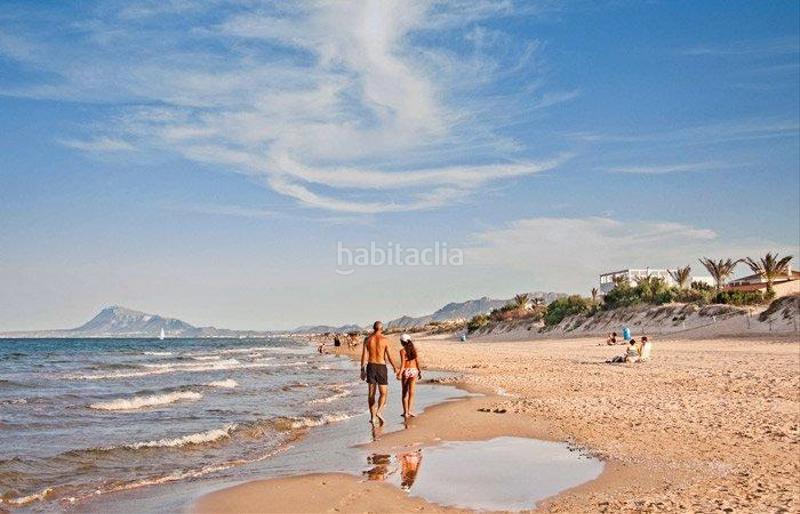 Foto e0ace631-997d-4b01-9834-1ae5ad9c0fc1. Casa a schiera con piscina in Oliva nova Oliva