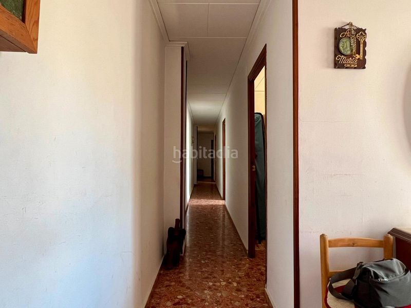 Foto b6dc6715-7fe3-496e-8e53-b18e1f741ed1. Pis a Pego