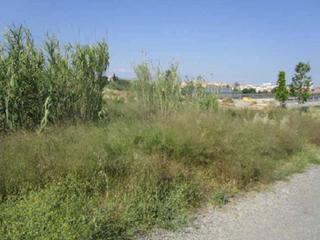 Propriété  Cm antic d´en berard. Suelo urbanizable sectorizado en sabadell