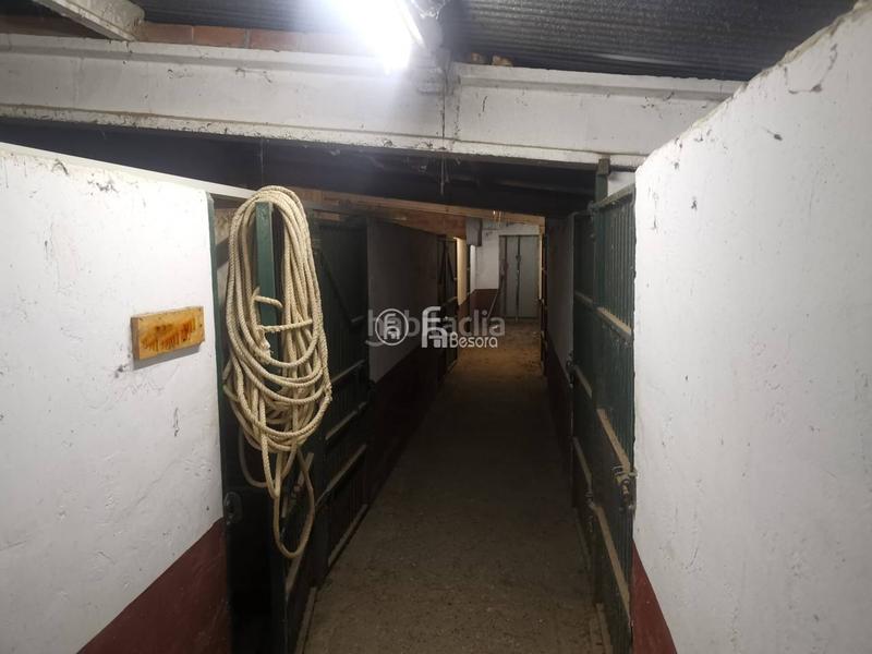 Foto 0b264c8d-cb68-4d0c-9e7c-0670518e38bc. Chalet con riscaldamento parcheggio piscina in Ciutat Jardí Lleida