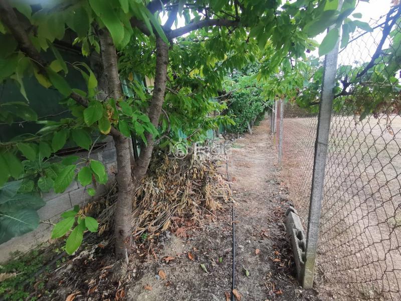 Foto 66a41739-aa1c-4c9d-8506-e069c9689010. Chalet con riscaldamento parcheggio piscina in Ciutat Jardí Lleida