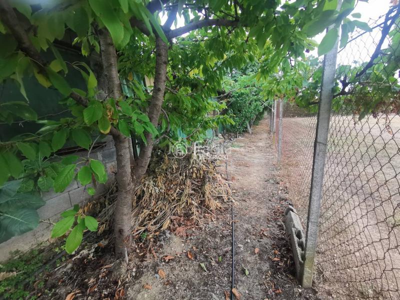 Foto 1d79cc32-1533-41ce-8687-5a57d5ac963b. Chalet venta de villa capital, partida boixadors en Lleida