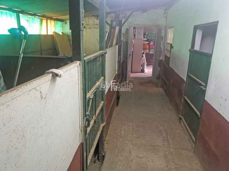 Foto 207fef3c-b9b0-46e2-a8d2-4e613e7ff170. Chalet venta de villa capital, partida boixadors en Lleida