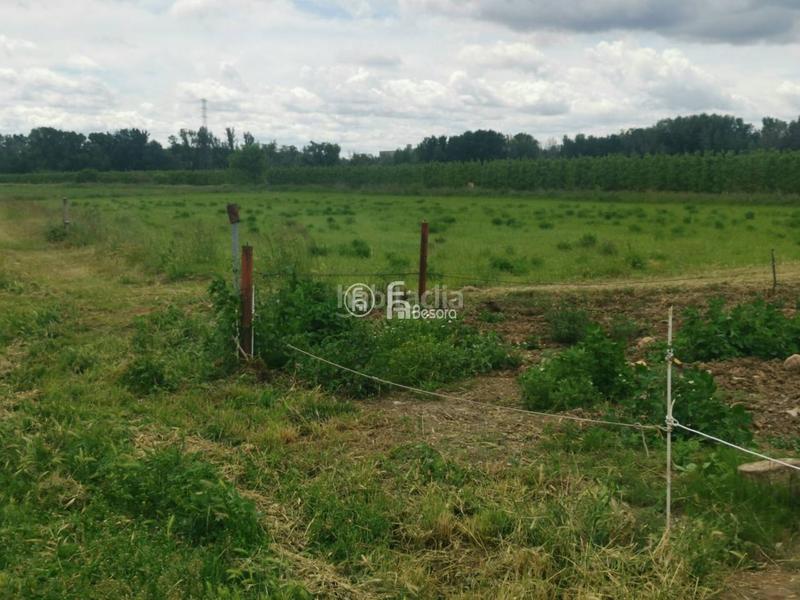 Foto 67620d1a-1b01-466e-8267-973b89dd5e8e. Fondo rustico in Llívia Lleida