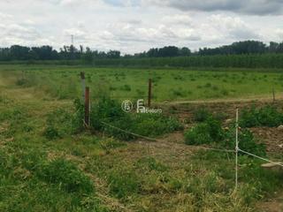 Lloguer Finca rústica  Corbins, km 3. Venta de casa rústica en lleida capital, de 6 habitaciones y 3 a