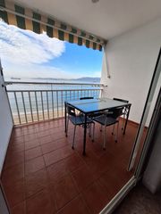 Rent Flat  Nueva. Septiembre a junio  profesores