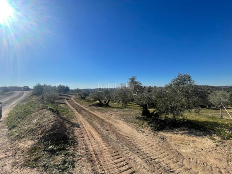 Foto 5422b7e2-4ad8-40fc-8217-60839d8f6bf2. Casa cortijo en venta en El Valle Lucena