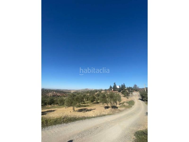 Foto 66755bfa-af13-4cb0-a366-d9cdabd24fd0. Casa cortijo en venta en El Valle Lucena