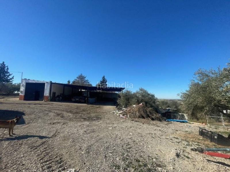 Foto 6e4a9493-53ff-4776-a540-e38866c7146f. Casa cortijo en venta en El Valle Lucena