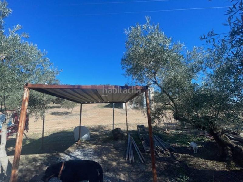 Foto 8615d42a-f0a0-4aaf-96d8-0ae65cb3ea0c. Casa cortijo en venta en El Valle Lucena