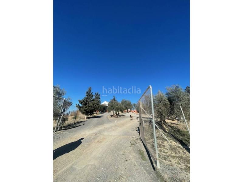 Foto 8d3ce6bf-d9a1-4f74-af96-72bef36a4957. Casa cortijo en venta en El Valle Lucena
