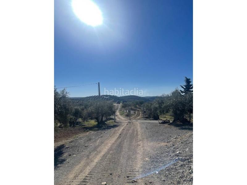 Foto 90349812-85eb-4093-a482-ec532d277538. Casa cortijo en venta en El Valle Lucena