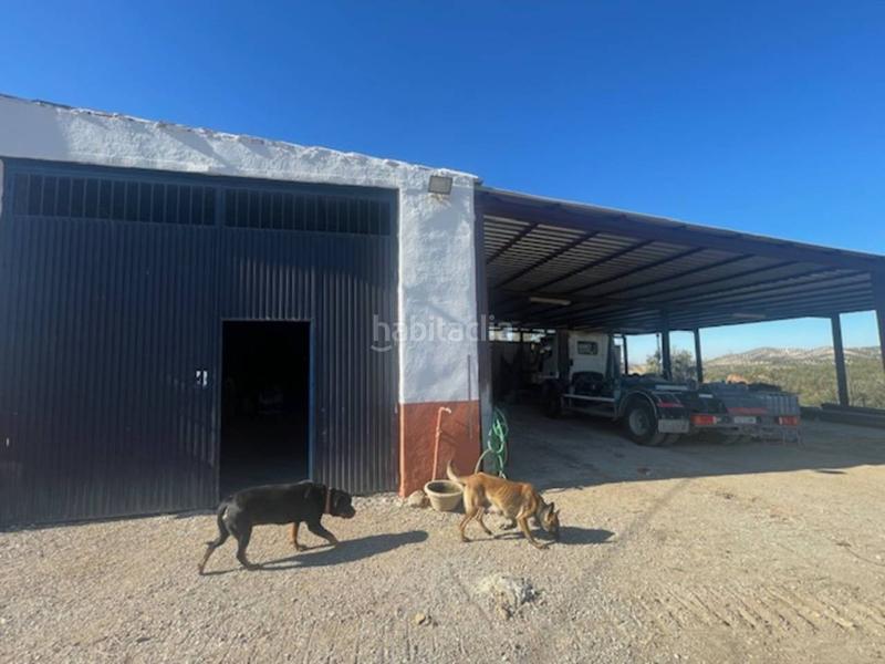 Foto a3aa91e7-ff02-4b23-a02c-99ba657c9478. Casa cortijo en venta en El Valle Lucena