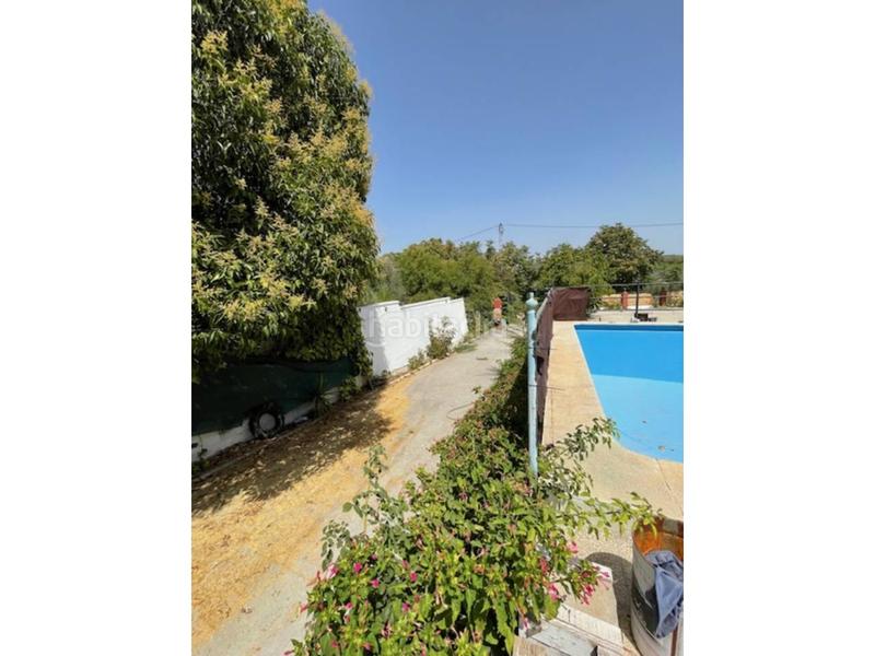 Foto 1324b74c-901e-40be-b52e-4267e19e5cc4. Chalet mit pool in Poleares Lucena