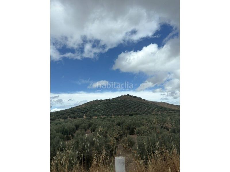 Foto 55249206-48e4-4413-bd42-97f236d6cdee. Finca rústica a Jauja Lucena